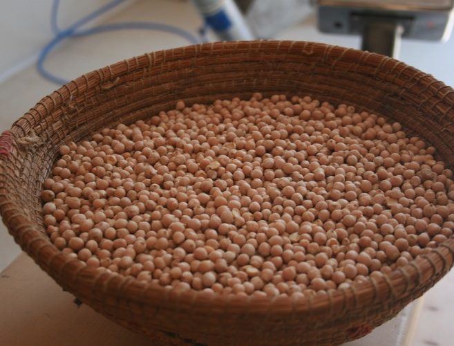 La Fattoria di Dafne - produzione propria di legumi